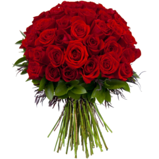 51 red roses | Flower Delivery Engels