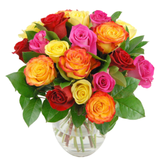 25 colorful roses | Flower Delivery Engels